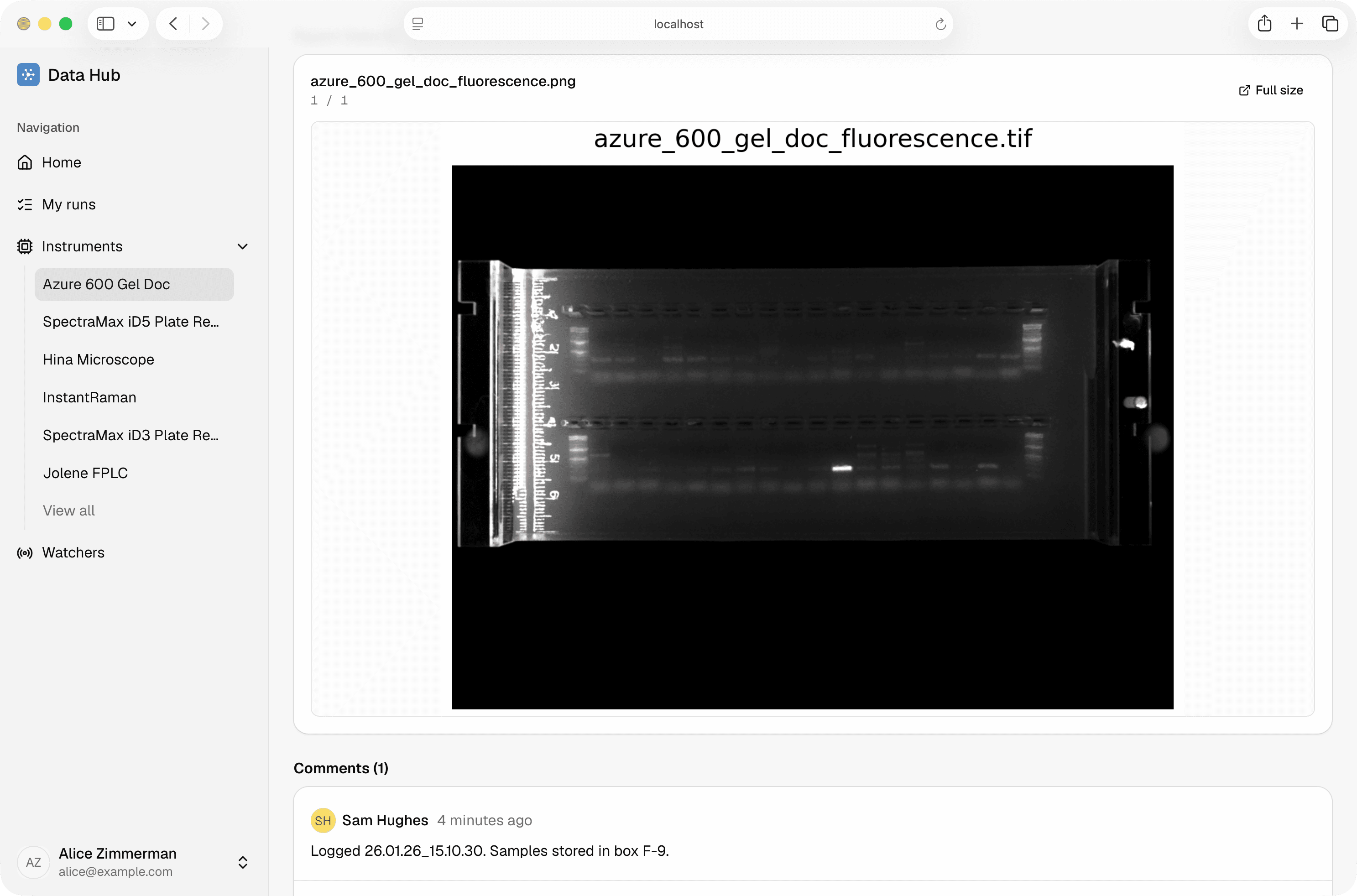 Gel doc processed image with a lab comment on the run