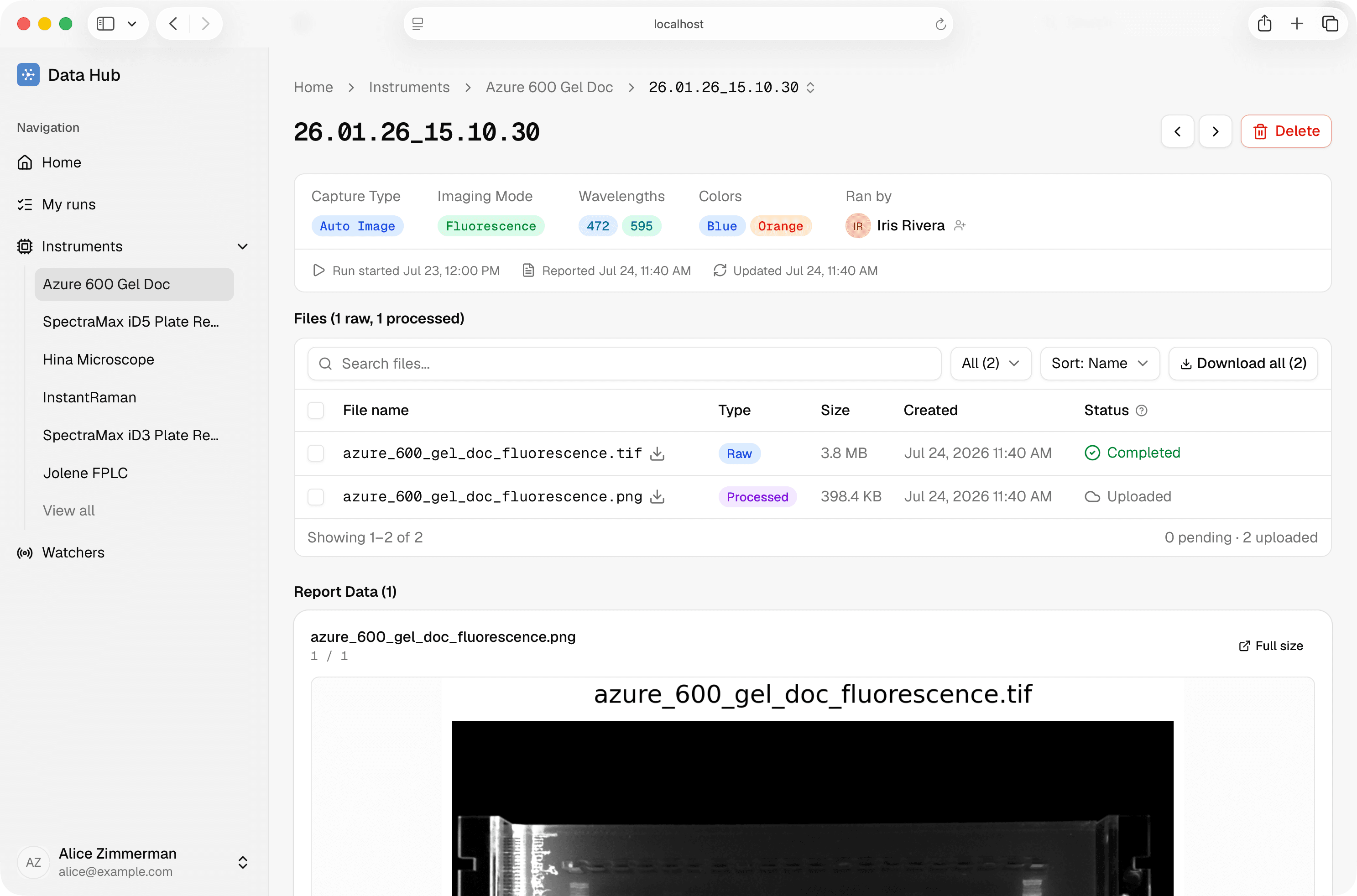 Gel doc run detail with metadata badges, files table, and report preview